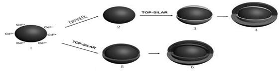 20180222095663466346.jpg 20180222095663466346.jpg