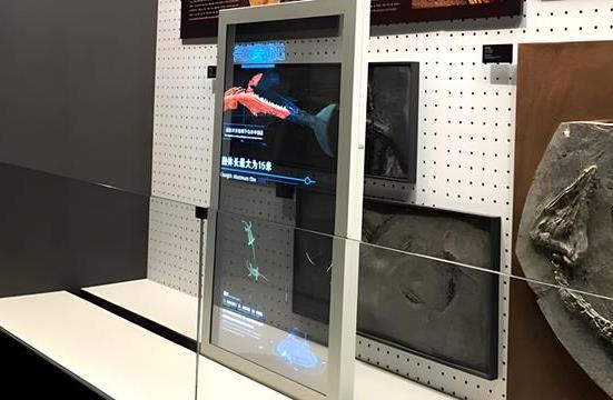 55寸透明oled落地滑軌屏